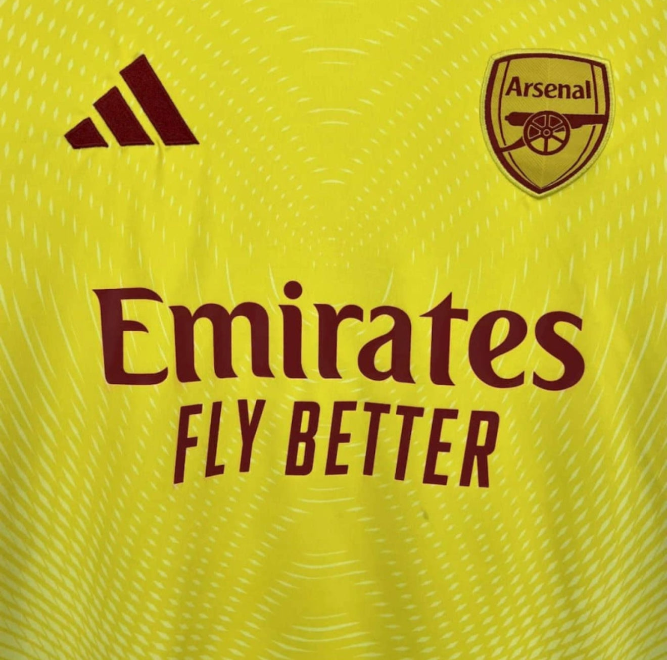 Arsenal Goleiro 2025/26