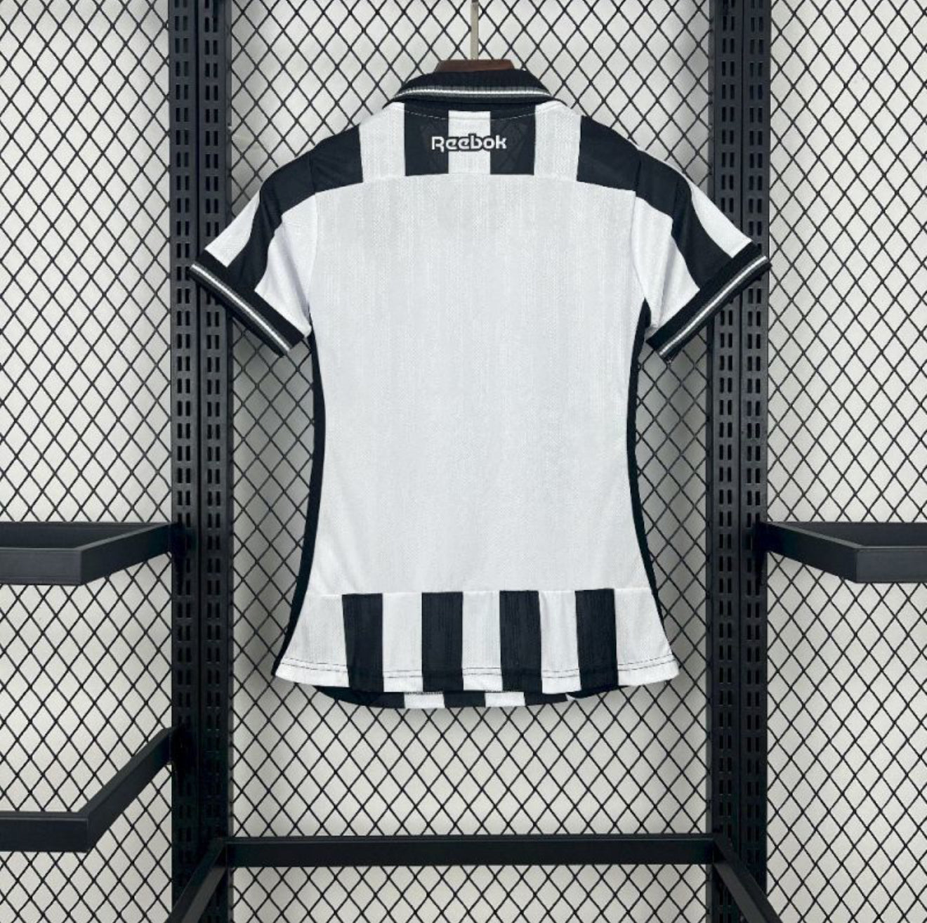 Botafogo 2025/26