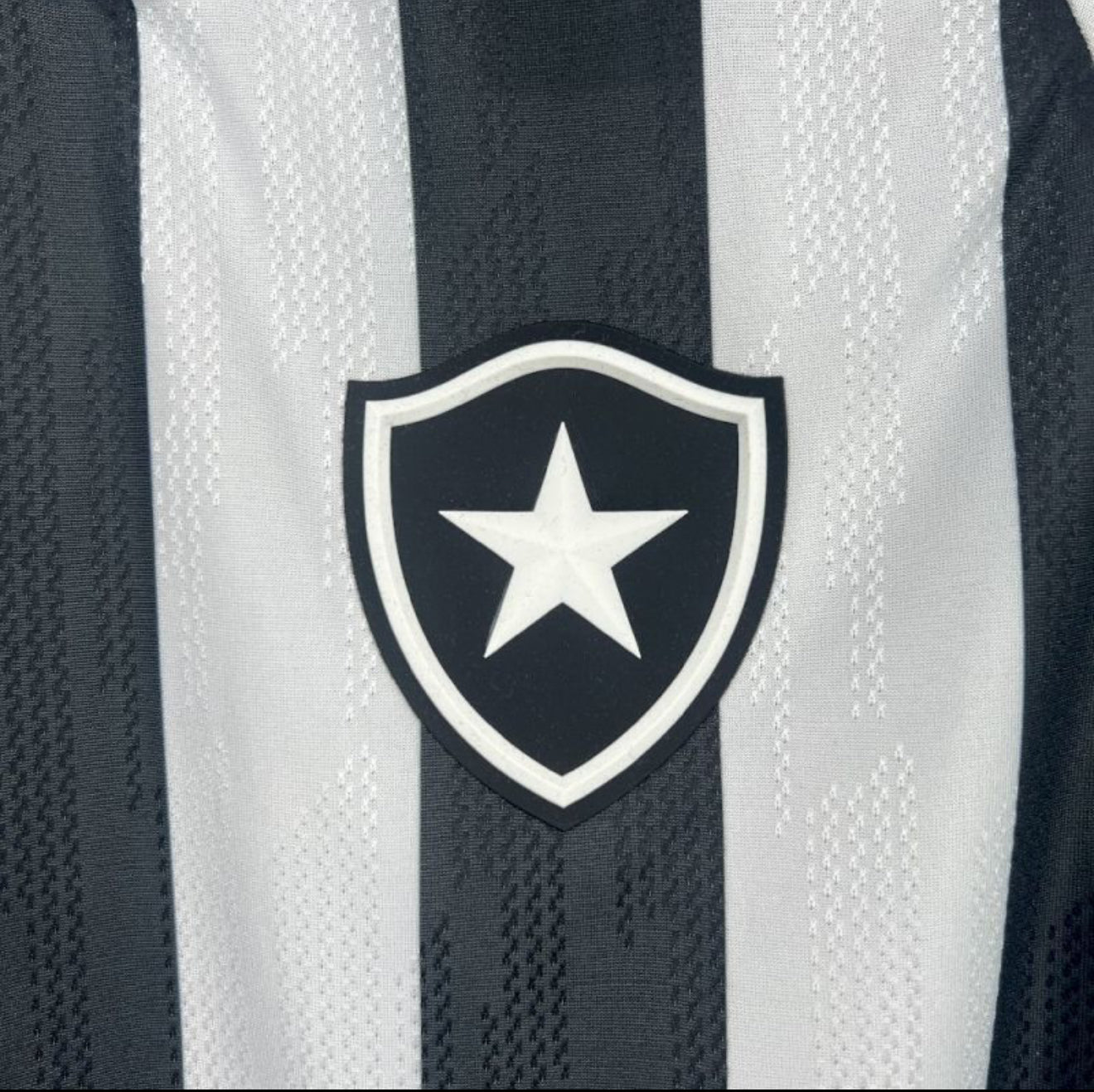Botafogo 2025/26