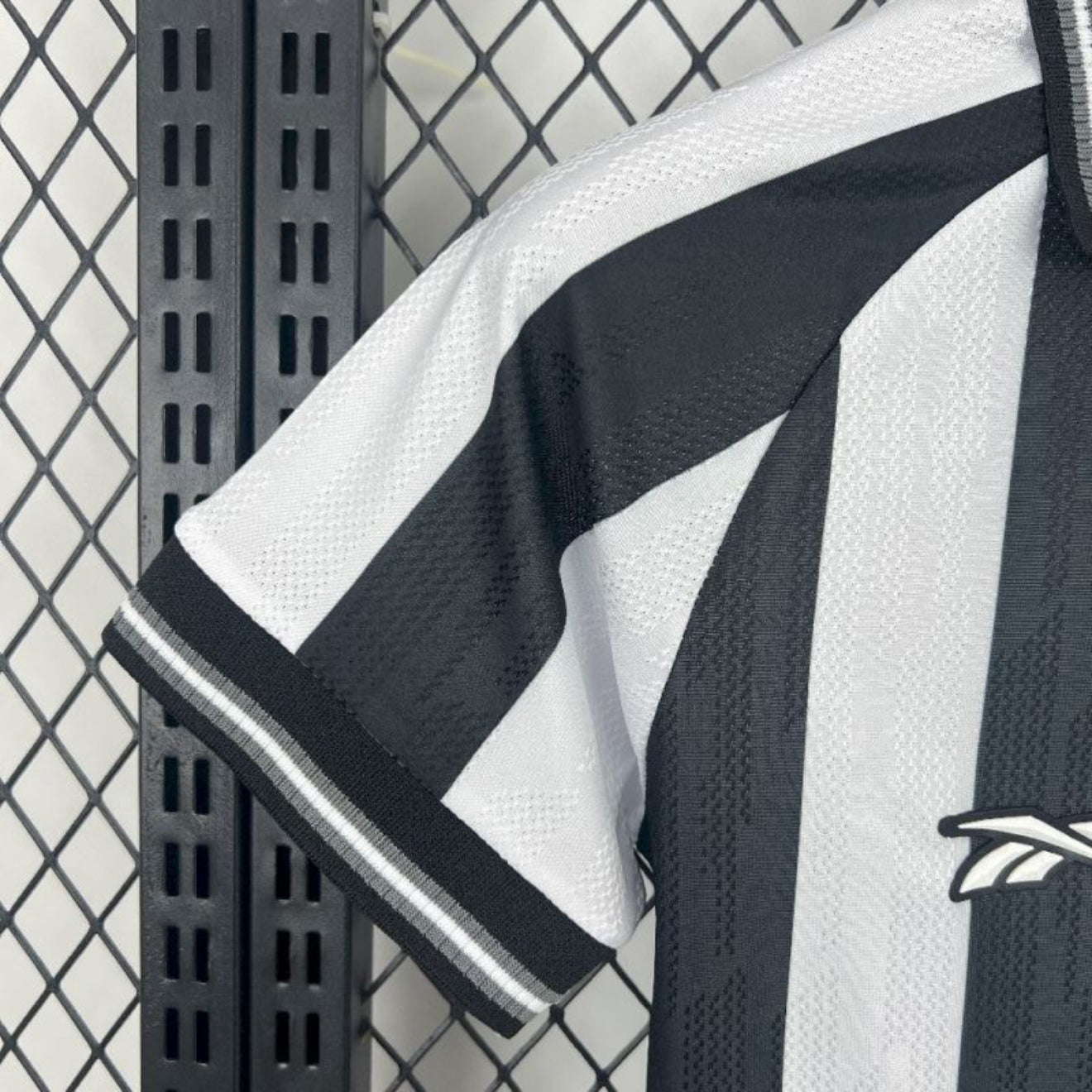 Botafogo 2025/26