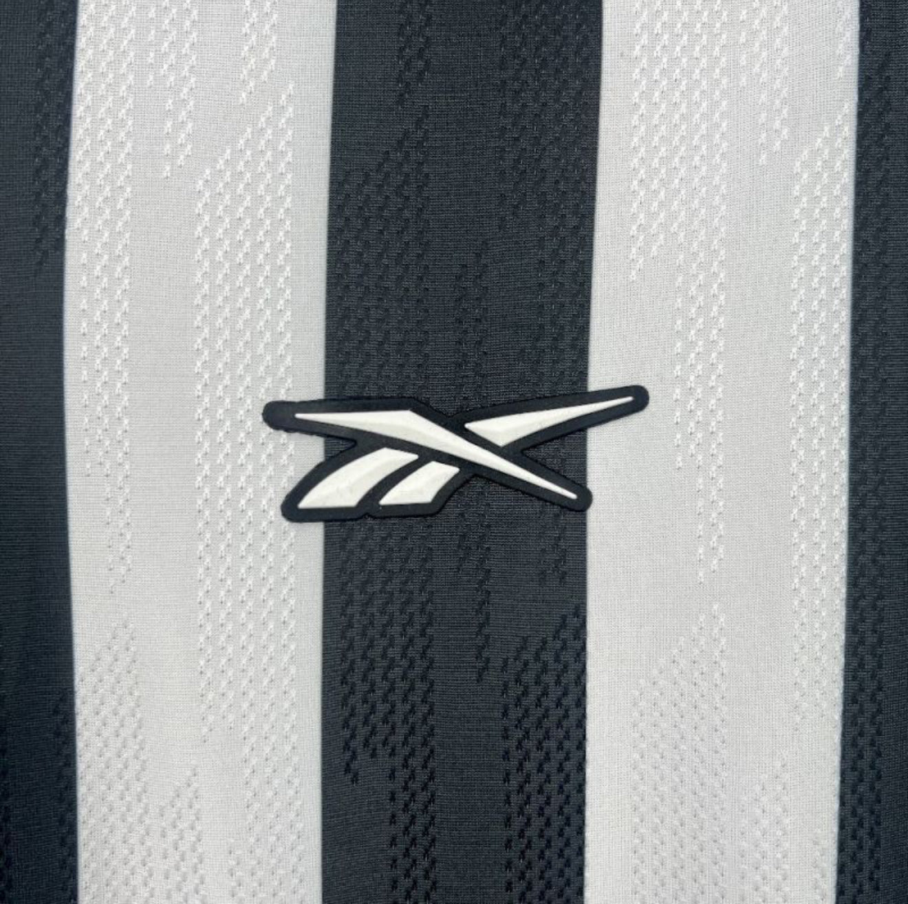 Botafogo 2025/26