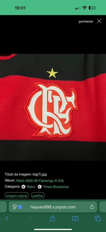Flamengo 2005/06